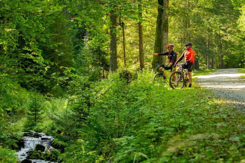 ebike